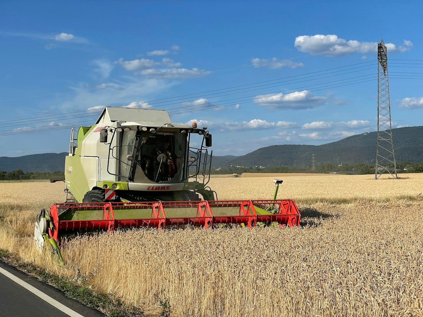 The Role of AI in Precision Farming