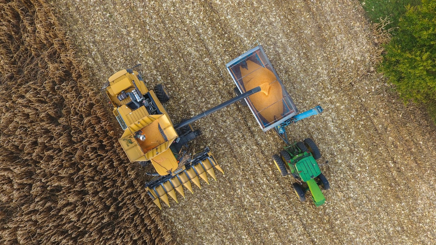 Sustainable Farming Through Innovative Solutions