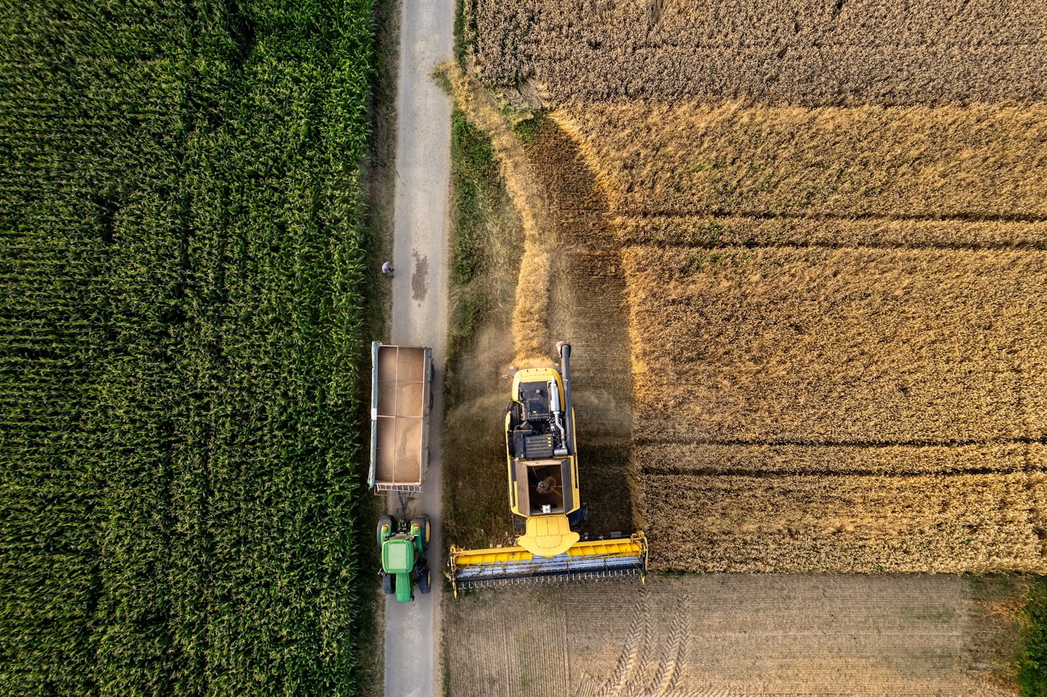 Why Sustainable Agriculture is the Future